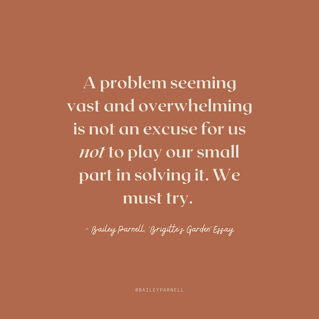 A problem seeming vast and overwhelming is not an excuse for us not to play our small part in solving it. We must try.