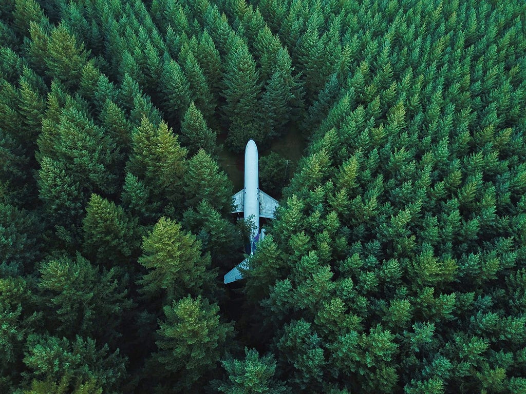 Um avião no meio de uma floresta, perdido.