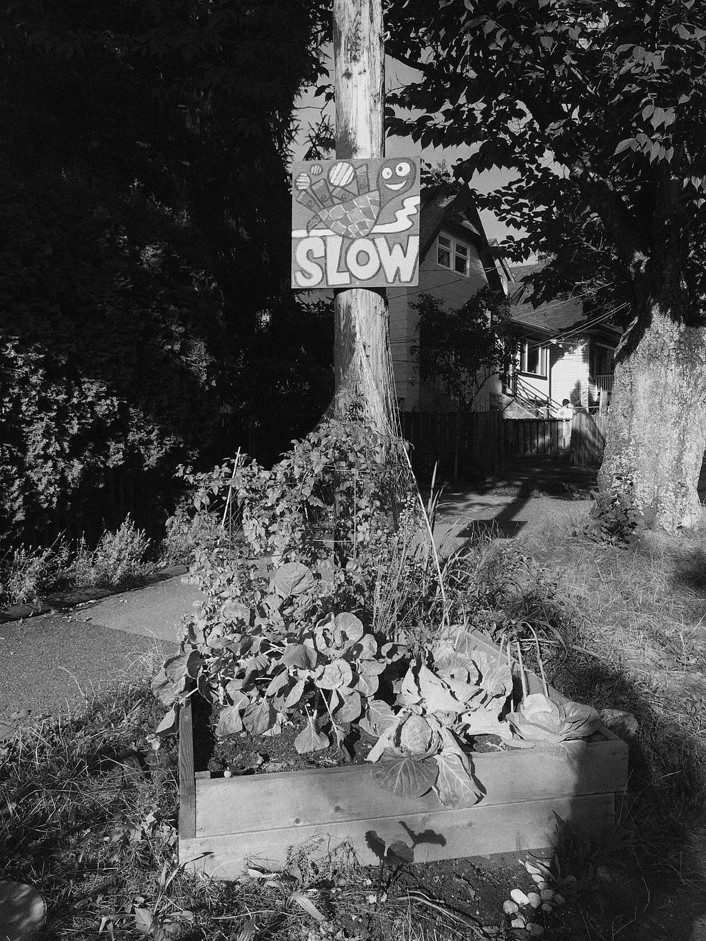 Wooden sign with a little turtle on its back with the word “slow” written underneath.