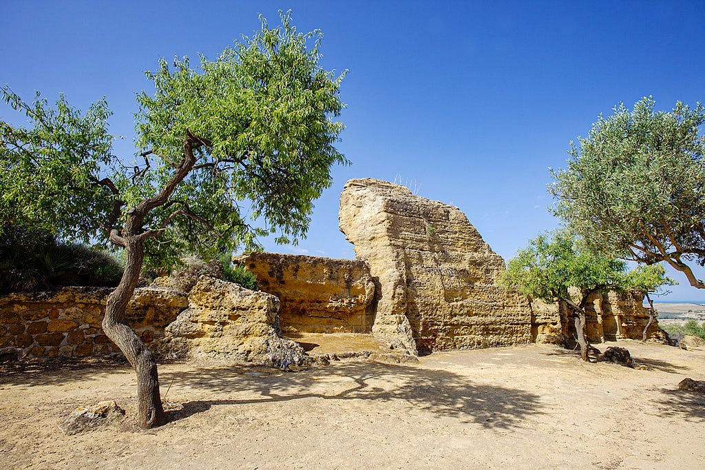 crumbling stone wall ruins amongst olive trees