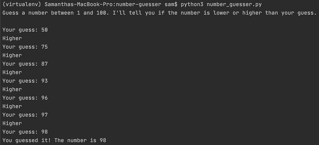 the number guessing game executed in the terminal