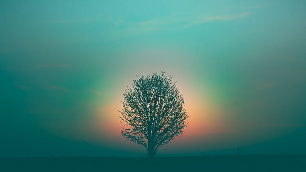 A lone tree against a rainbow-colored glow of a setting sun through a foggy haze.