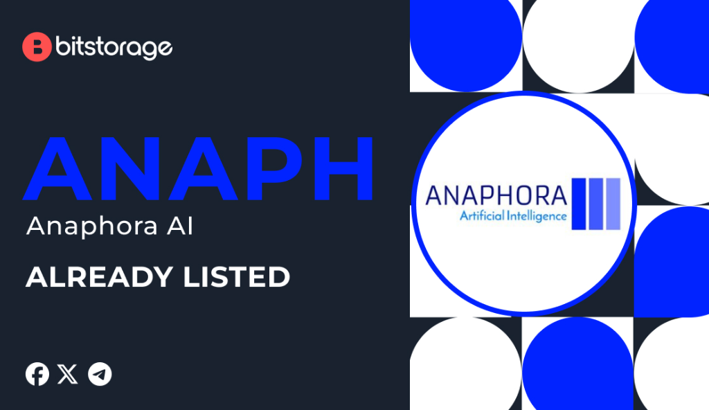 Empowering Innovation: How Anaphora AI is Revolutionizing the AI Landscape