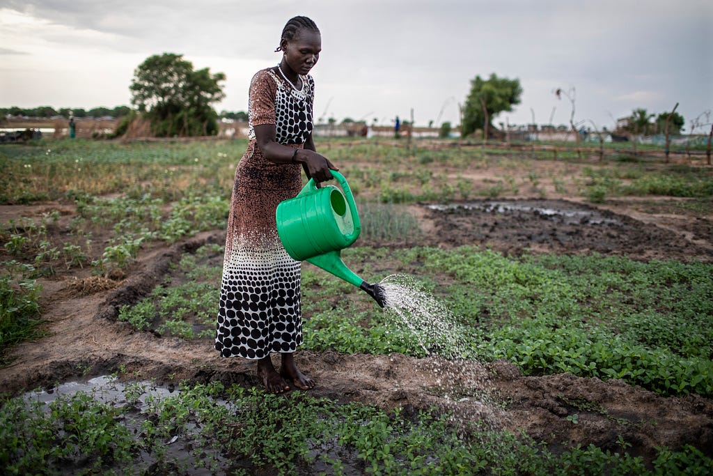 A woman waters vegetables on the farm of a vegetable producer group in Malou village, Bor county, Jonglei State, South Sudan. Photo by Will Baxter, Catholic Relief Services