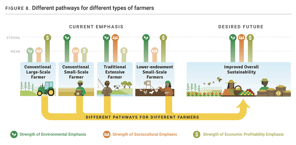 A flowchart explaining the content of “Different pathways for different types of farmers”, after design improvements