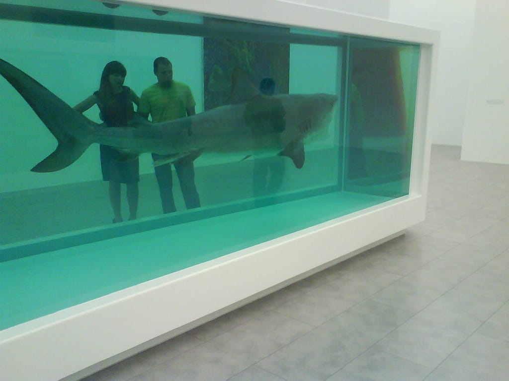 Damien Hirst The Physical Impossibility of Death