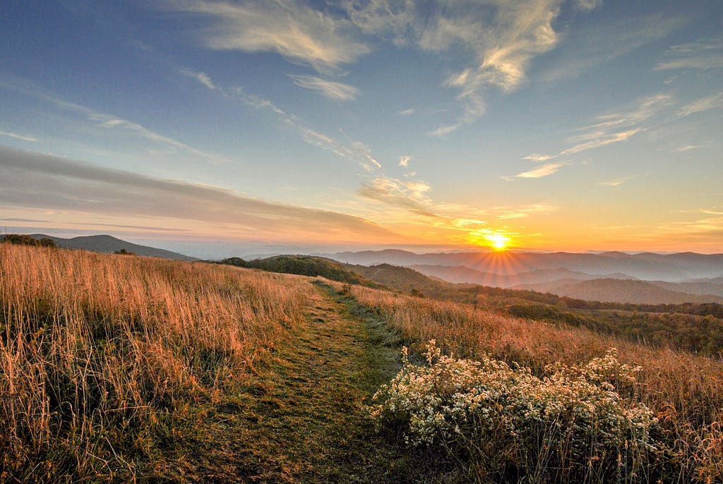 Sunrise on the Appalachian Trail on Max Patch during the summer in North Carolina.