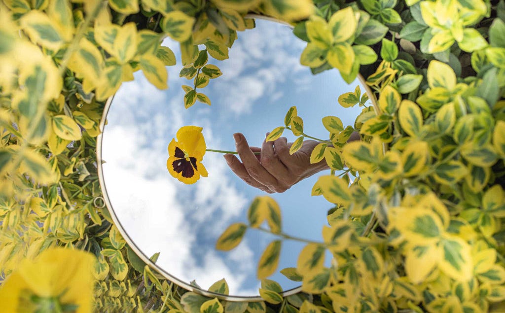 A mirror nestled in a leafy bush, showing the reflection of a hand holding a flower against a slightly cloudy sky.