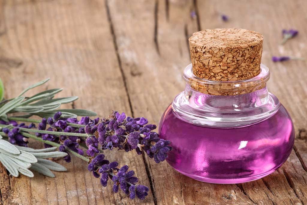 Discover the Truth About Lavender Oil and Estrogen Levels