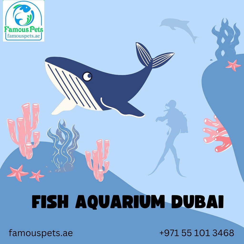 fish aquarium in Dubai