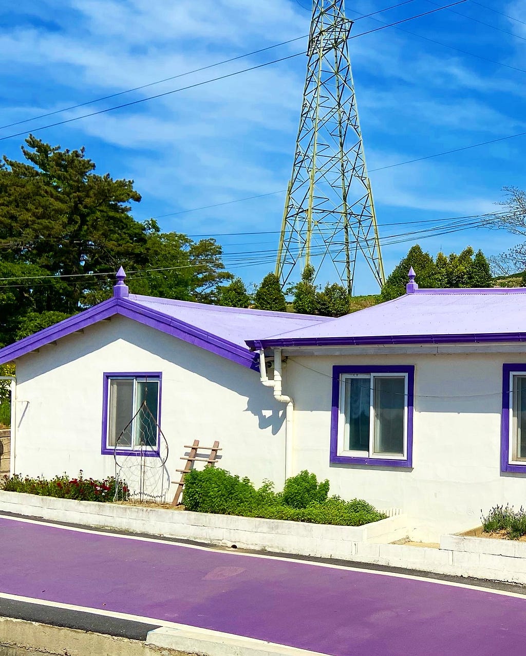 Purple painted rooftops for small, 1 floor houses. They have small windows that also have a purple outline. The road in front of them is also painted purple.