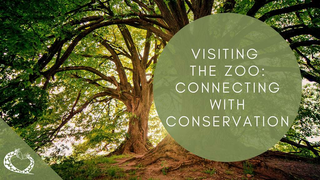 Visiting the Zoo: Connecting with Conservation