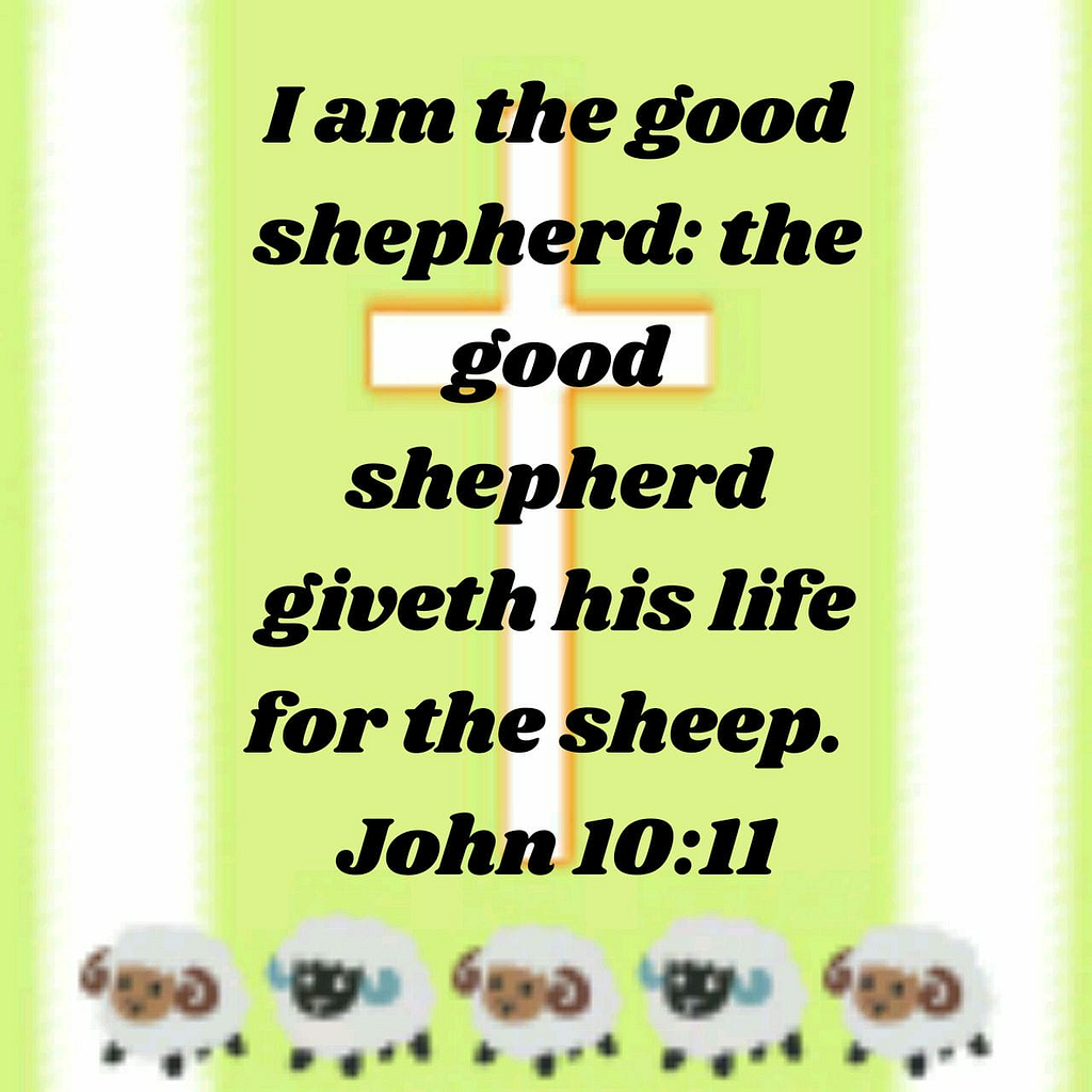 John 10:11 KJV Bible Verse Image