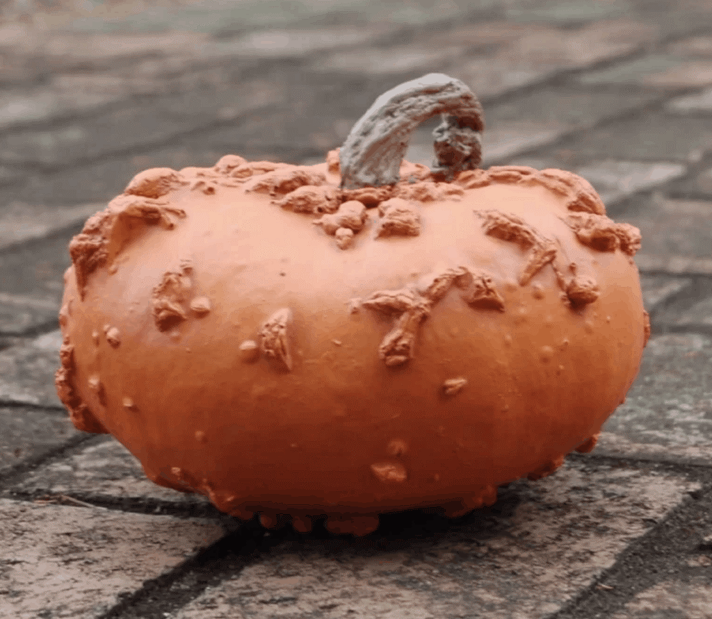 A faux pumpkin with warts for halloween decor