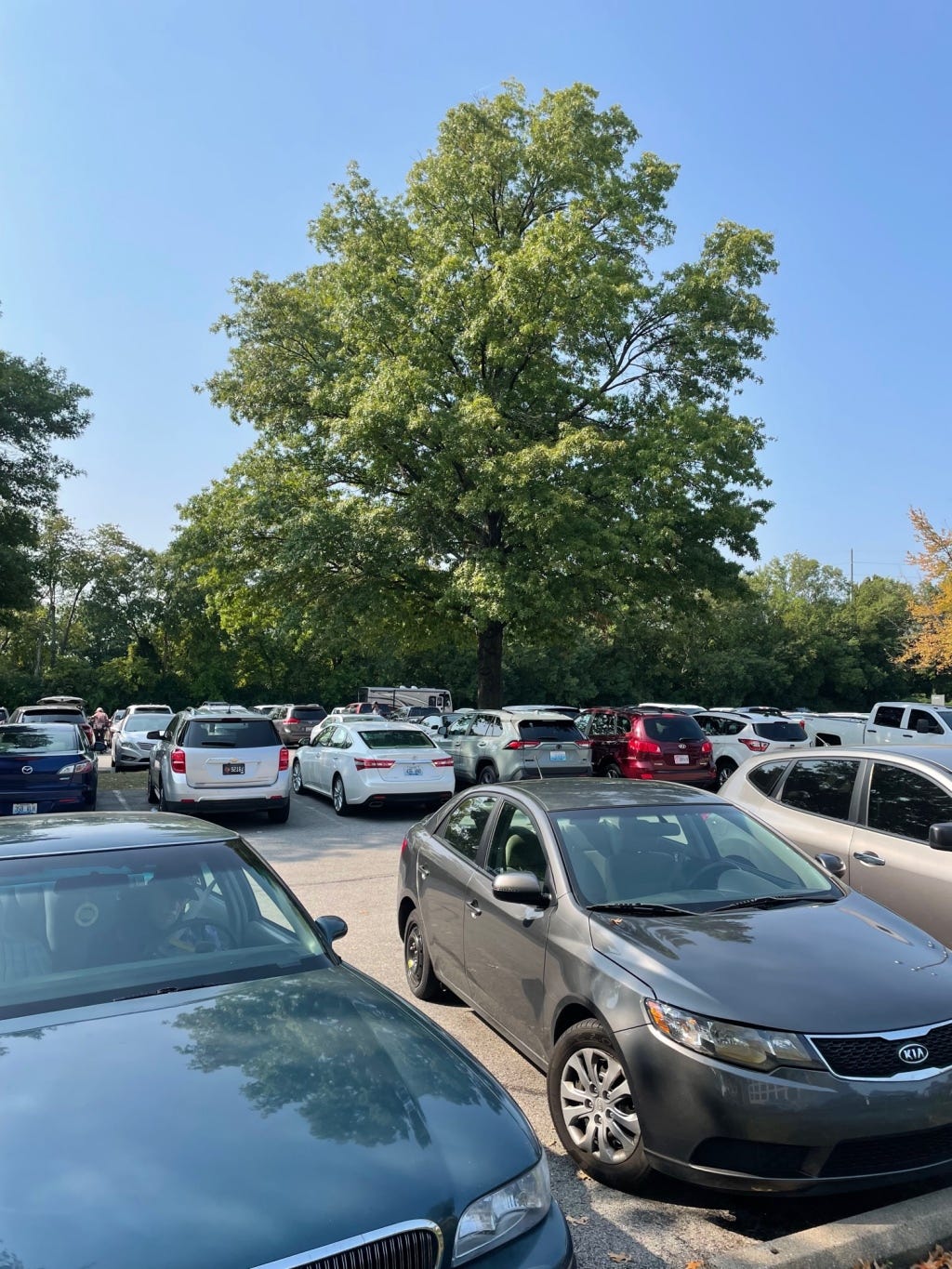 Full hospital parking lot