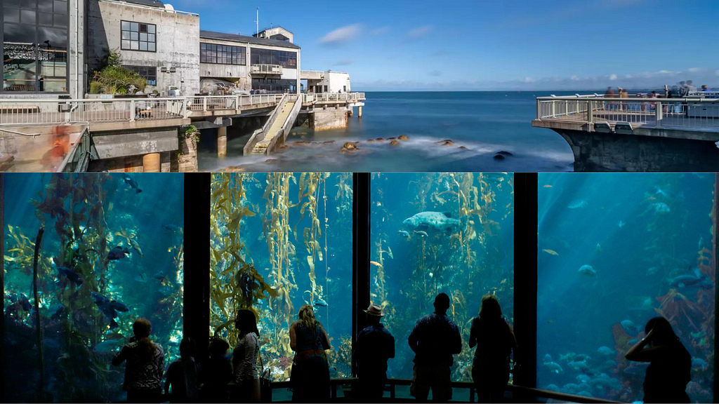 Monterey Bay Aquarium