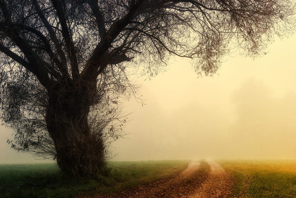 A dirt road with a tree in the foreground and a fog in the distance