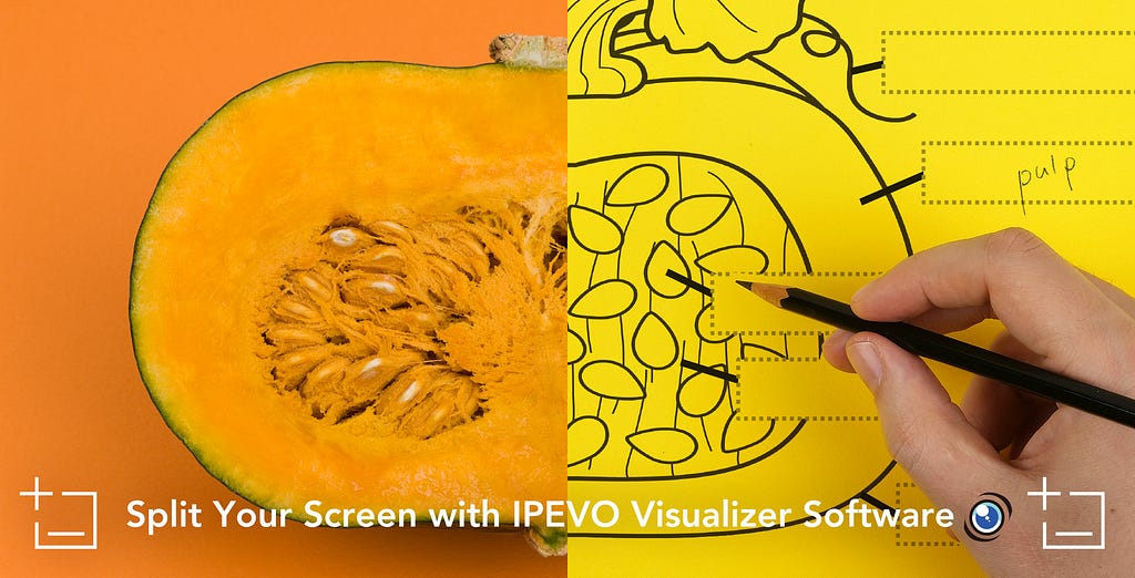 Split Your Screen with IPEVO Visualizer Software