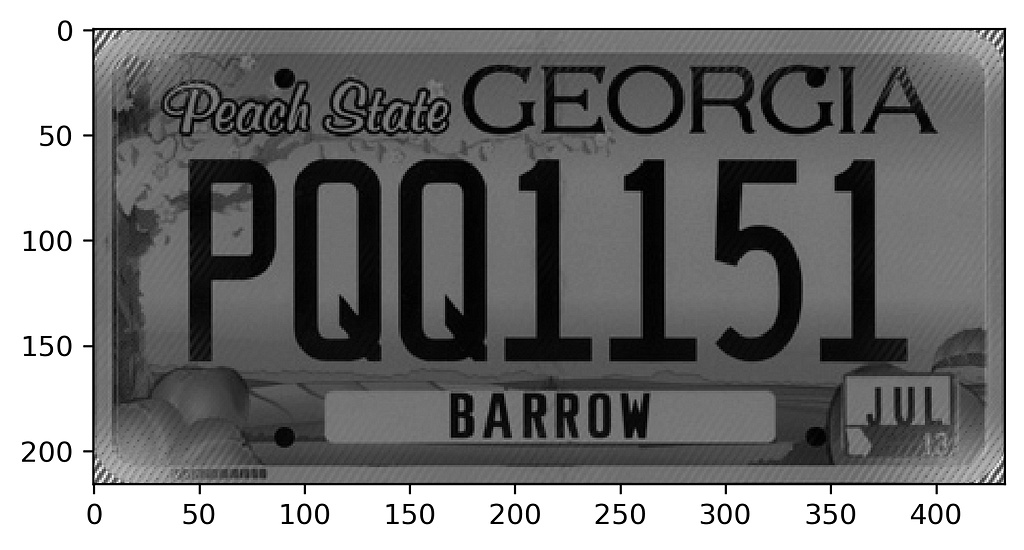 Clear grayscale license plate