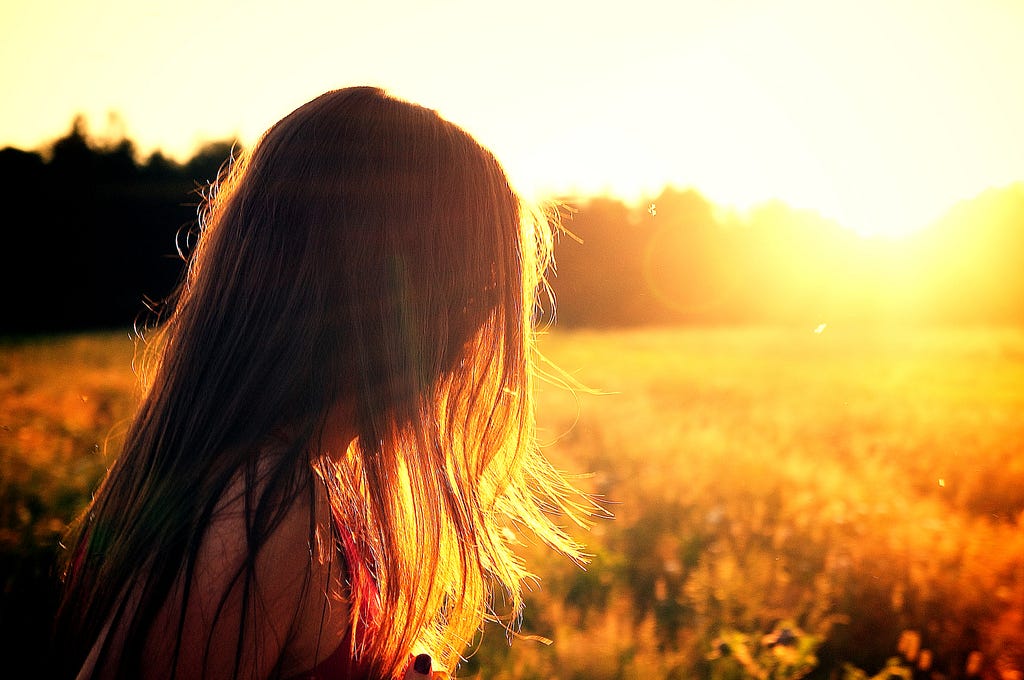 sunshine across a field