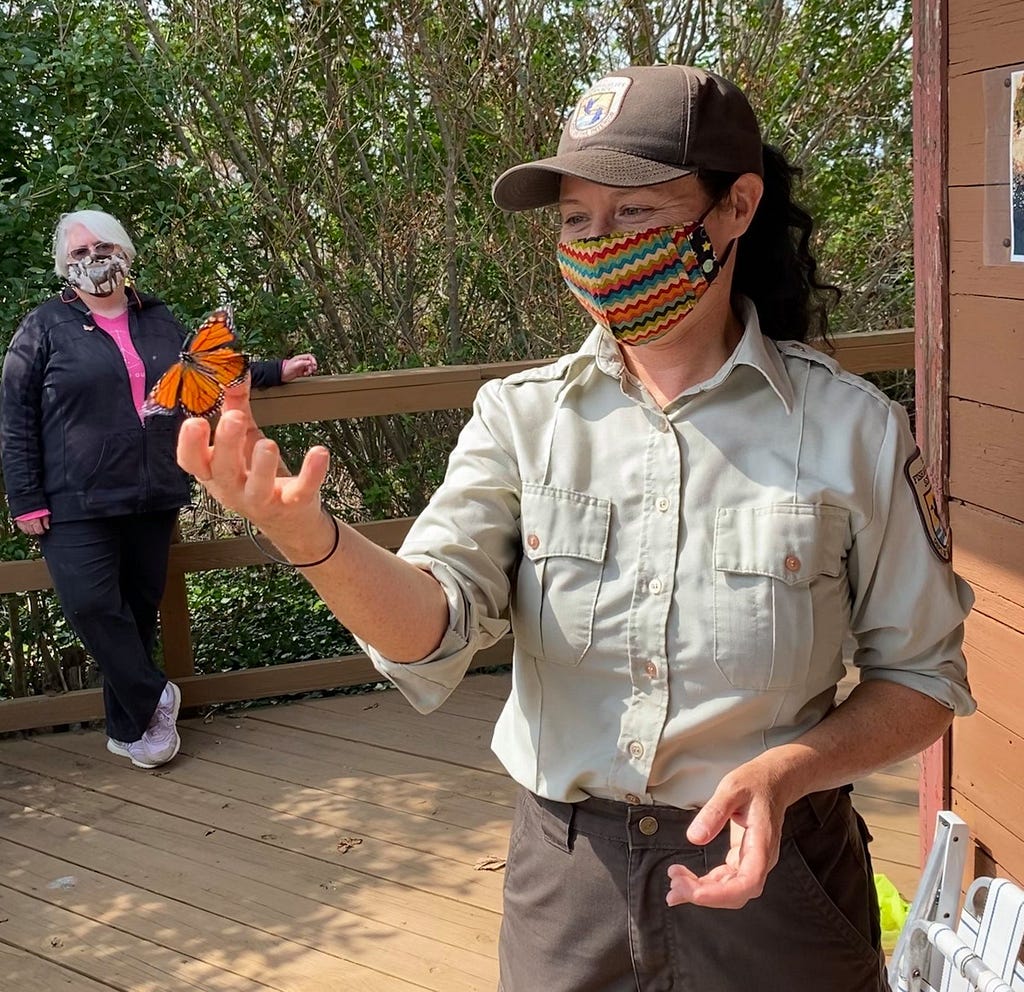 A monarch butterfly hovers over the outstretched hand of a park ranger. The ranger wears a uniform and mask.