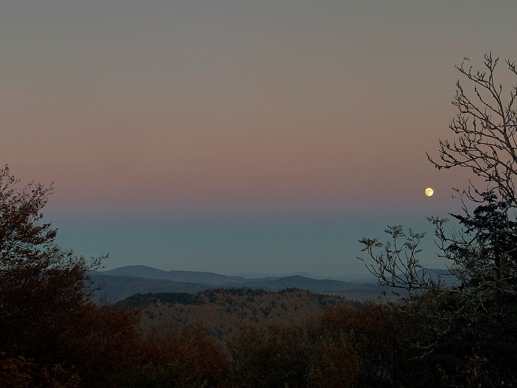 Dark purple and blue sky with a small moon in the distance.