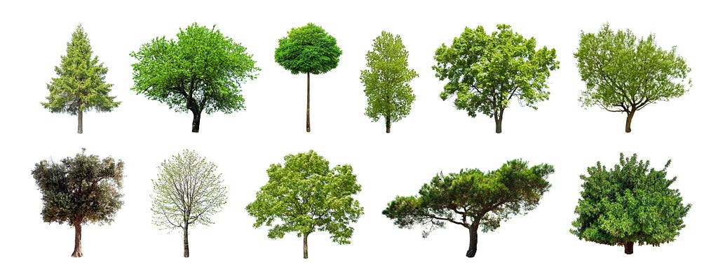 A photorealistic illustration of 11 difference species of tree against a white background.