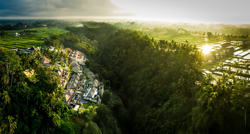 Tailor Made Luxury Holiday at the Viceroy Ubud, Bali