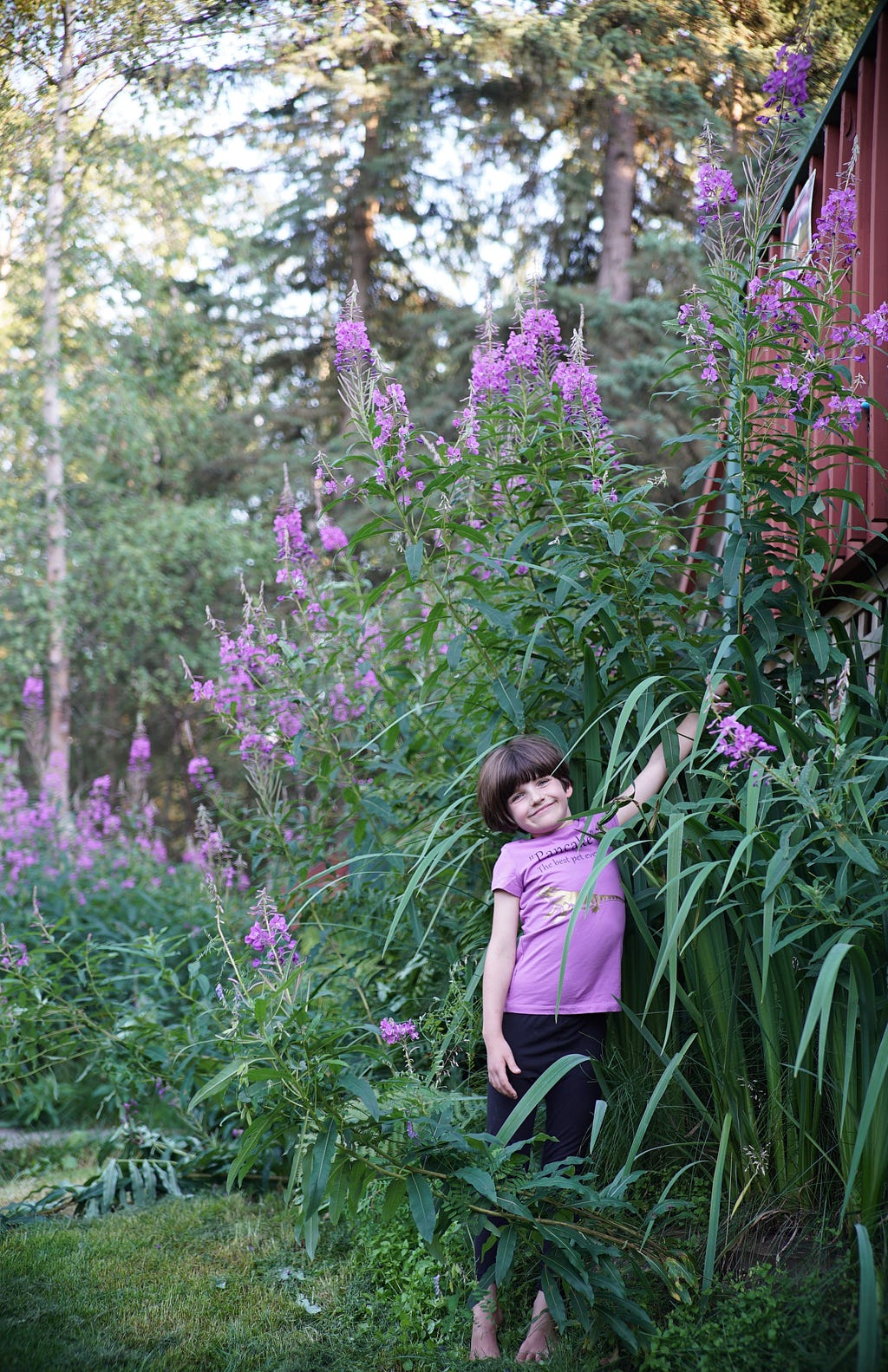 girl in front of 9 foot tall fireweed
