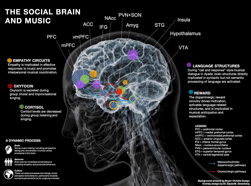 Complex physiochemical map of music’s impact on the brain.