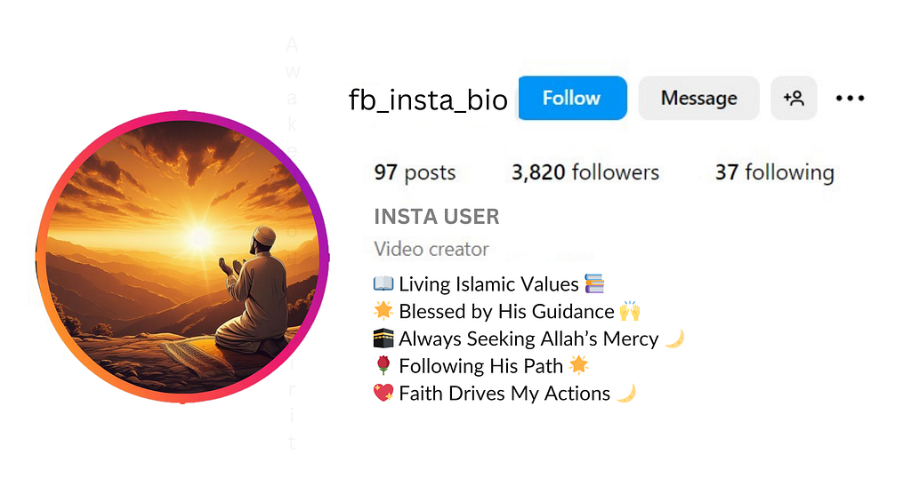 Professional Islamic Bio For Instagram For Boy Simpleis visible in this image