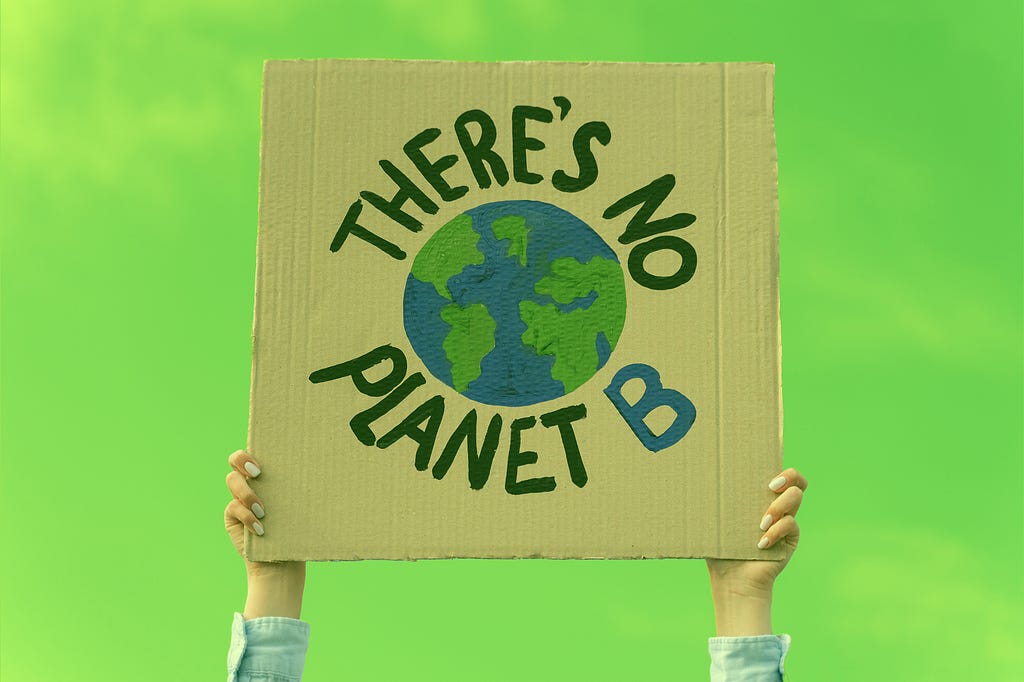 Person holding up a sign that says ‘There’s no planet B’.
