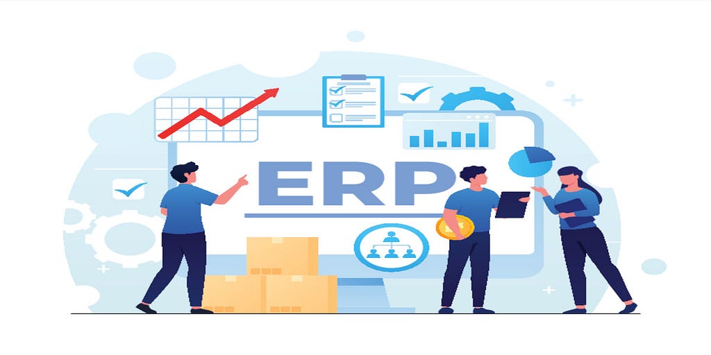 ERPNext Services Providers