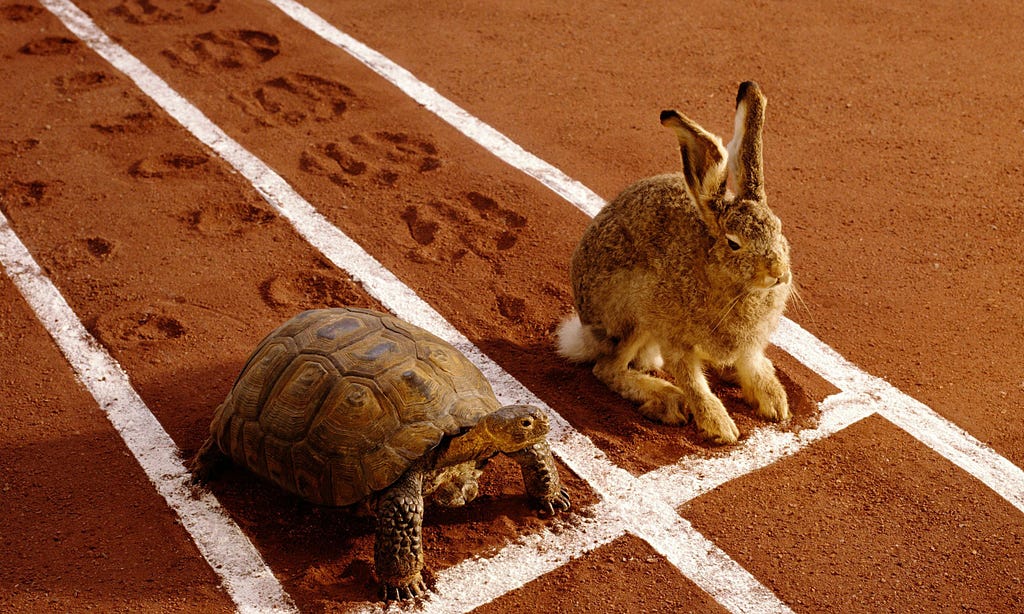 The tortoise and the hare