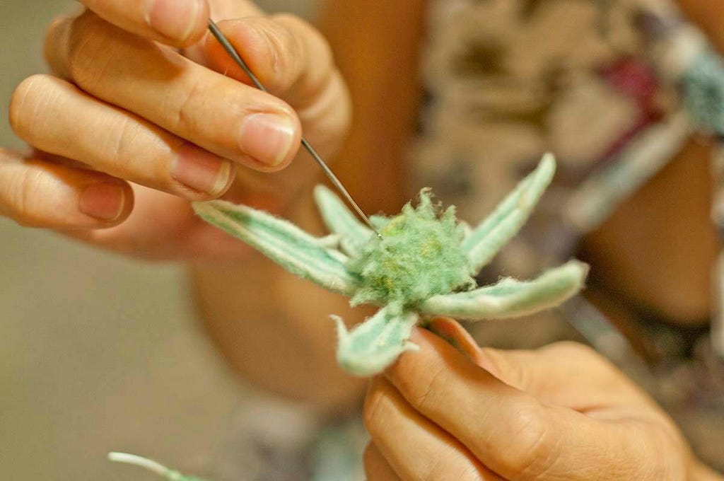 Nimble fingers work on a field eryngo.