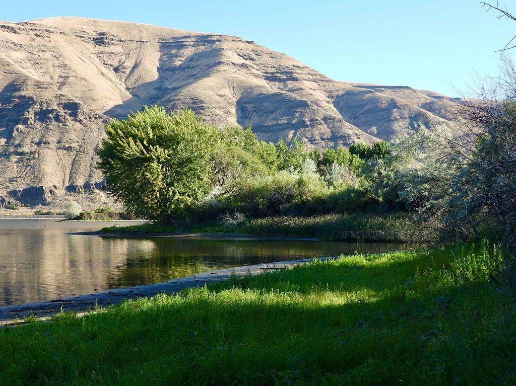 View of trees and bluffs along the Snake River in southeastern Washington State.