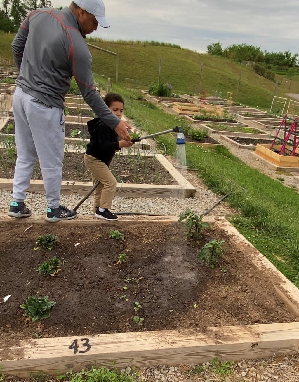 Man and boy watering garden together.