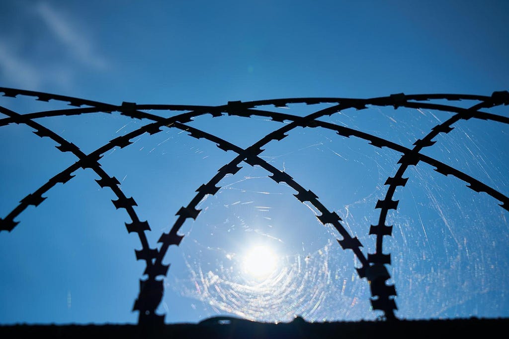 Barbed wire silloutted against a blue sky and bright sun.