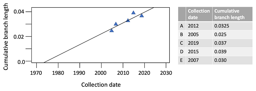 Plot of cumulative branch length vs. collection date.