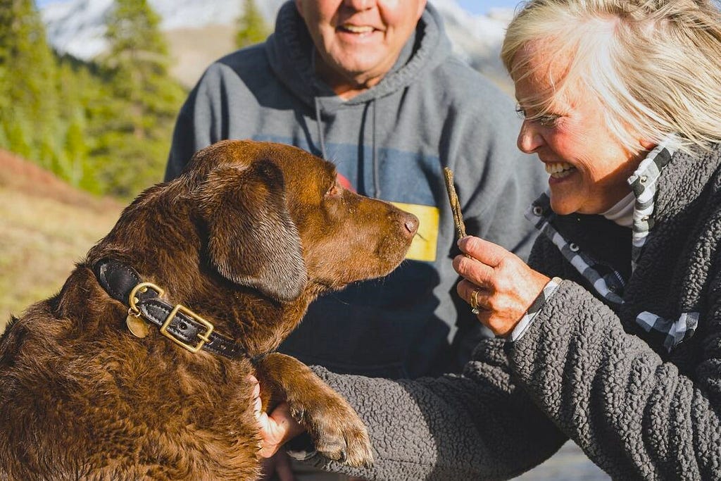 Smiling woman holding a stick eye level to a brown retriever.