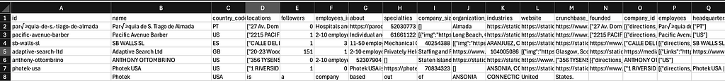 The downloaded sample shows the dataset as actual rows and columns, not just a product description.