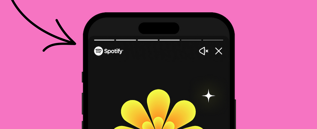 Spotify Wrapped stories