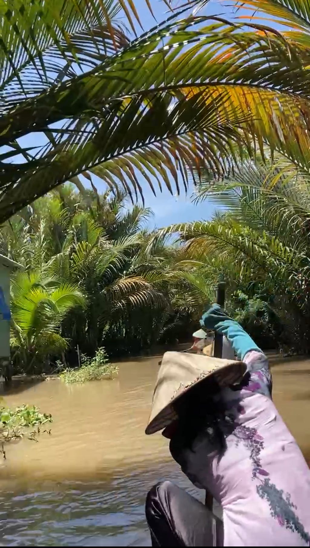 Image captured in an Ecotoursim site in Vietnam in June, 2022.