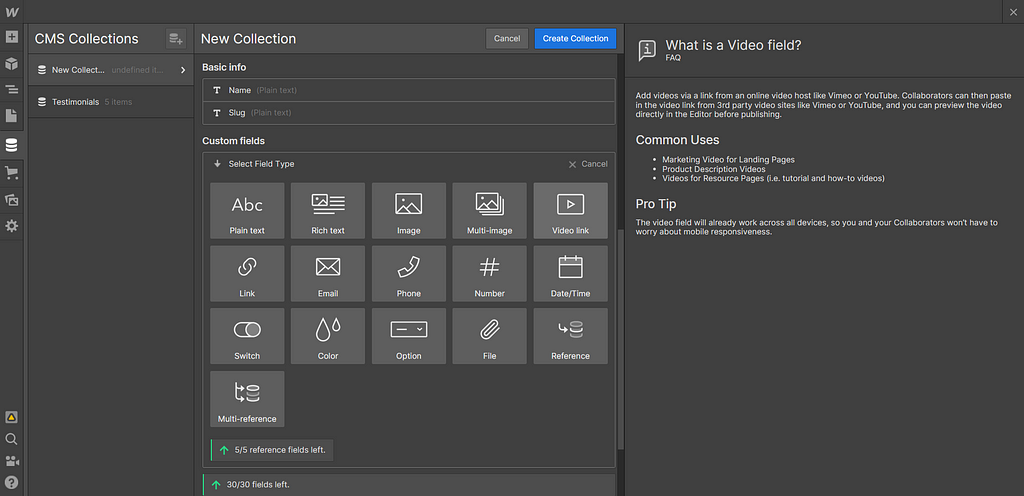 Webflow CMS fields