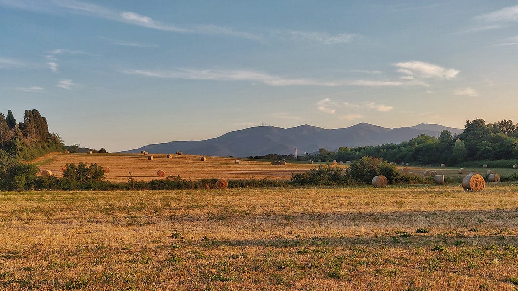 Perfectly round hay bales at dusk in a field, with mountains in the background.