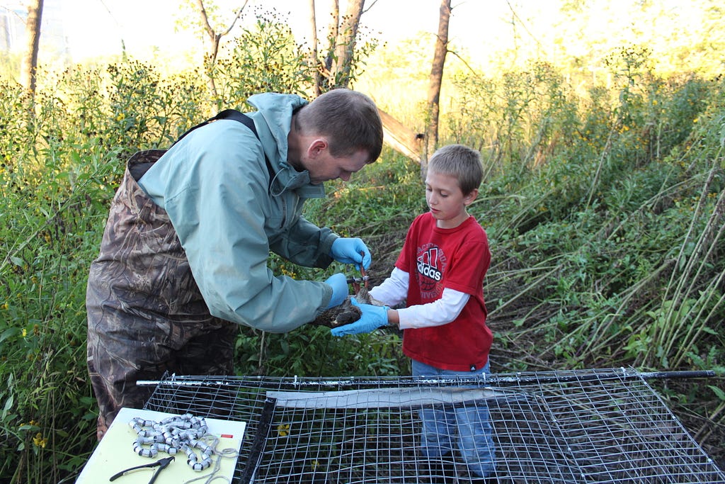 Tom Cooper, FWS Scholar, at work banding birds and educating kids about his work with the Service.