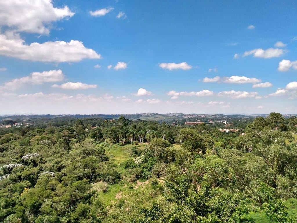 A imagem é uma vista limpa e muito verde de mata atlântica, tirada de uma varanda do mesmo prédio da história.