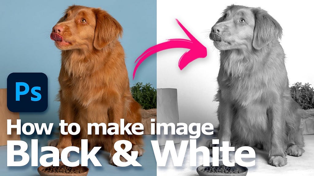 How to convert image to black and white photoshop not grayscale