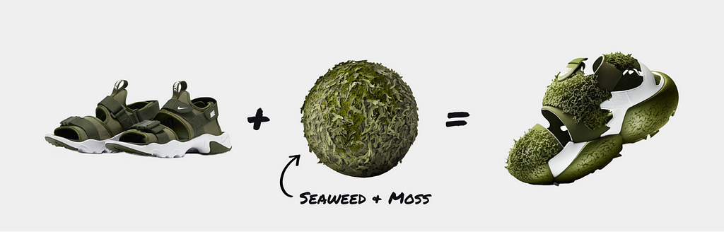 diagram of a shoe, a seaweed and moss material, and that shoe made of seaweed and moss