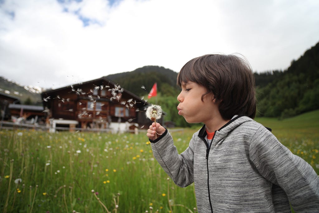 A kid is out on a field with tall grass. He is blowing a dandelion.